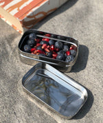 A close up of the mini container from the A slice of green large lunchbox showing different fruit items inside