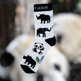 Eco kiddies white wild about wildlife organic cotton kids socks on a blurred panda background