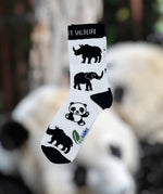 Eco kiddies white wild about wildlife organic cotton kids socks on a blurred panda background