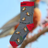 Eco kiddies grey chirpy robins organic cotton kids socks with a blurred background of a robin on a branch