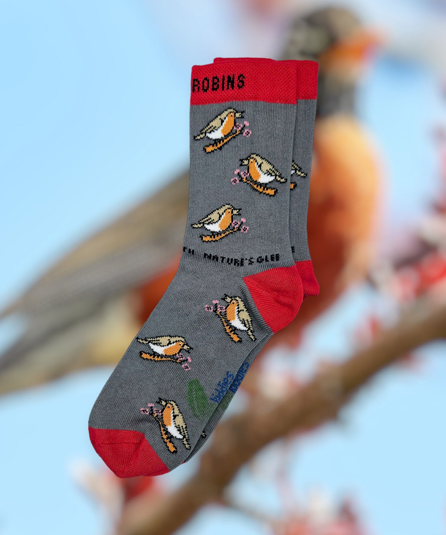 Eco kiddies grey chirpy robins organic cotton kids socks with a blurred background of a robin on a branch