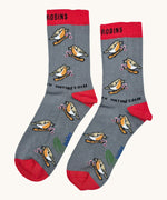 Eco kiddies chirpy robins organic cotton kids socks. A grey sock with red detail matching red ankle cuff and a cute singing robin design