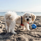 Hevea Dog Planet Activity Ball - Blue