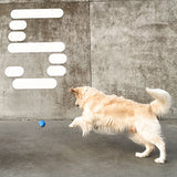 Hevea Dog Planet Activity Ball - Blue