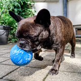 Hevea Dog Planet Activity Ball - Blue