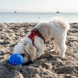 Hevea Dog Planet Activity Ball - Blue