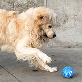 Hevea Dog Planet Activity Ball - Blue