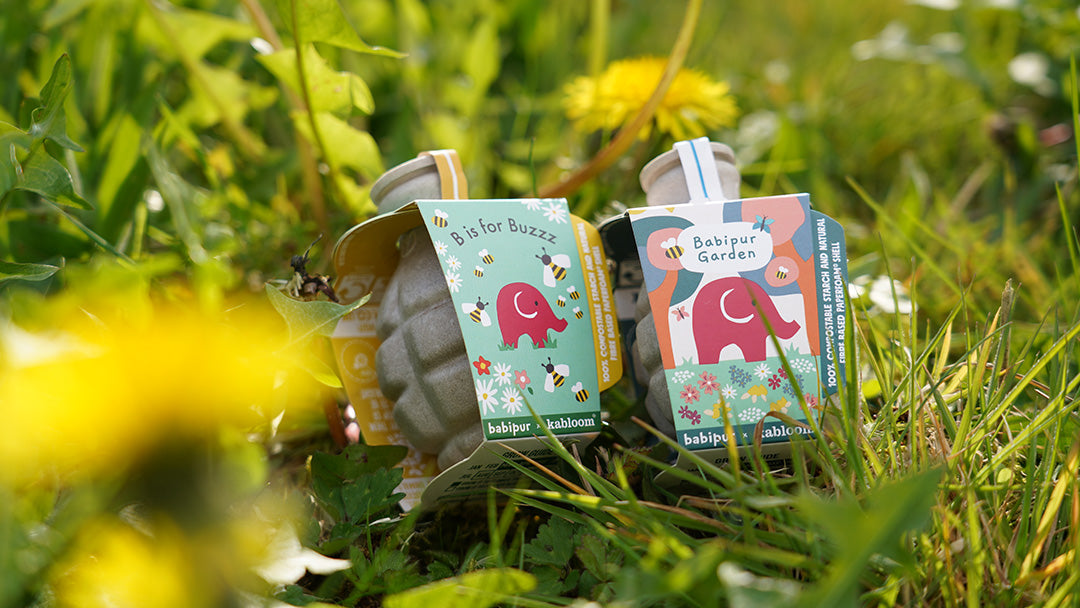 Two Babipur x Kabloom collaboration Seedboms amongst grass and dandelions