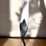 A adult hand holding the Natural Earth Paint palette knife with wooden handle showing white paint underneath