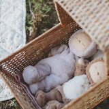 A Olli Ella cozy dinkum bunny twinkle doll lying in a Olli Ella strolley. This fluffy toy doll is available at Babipur.