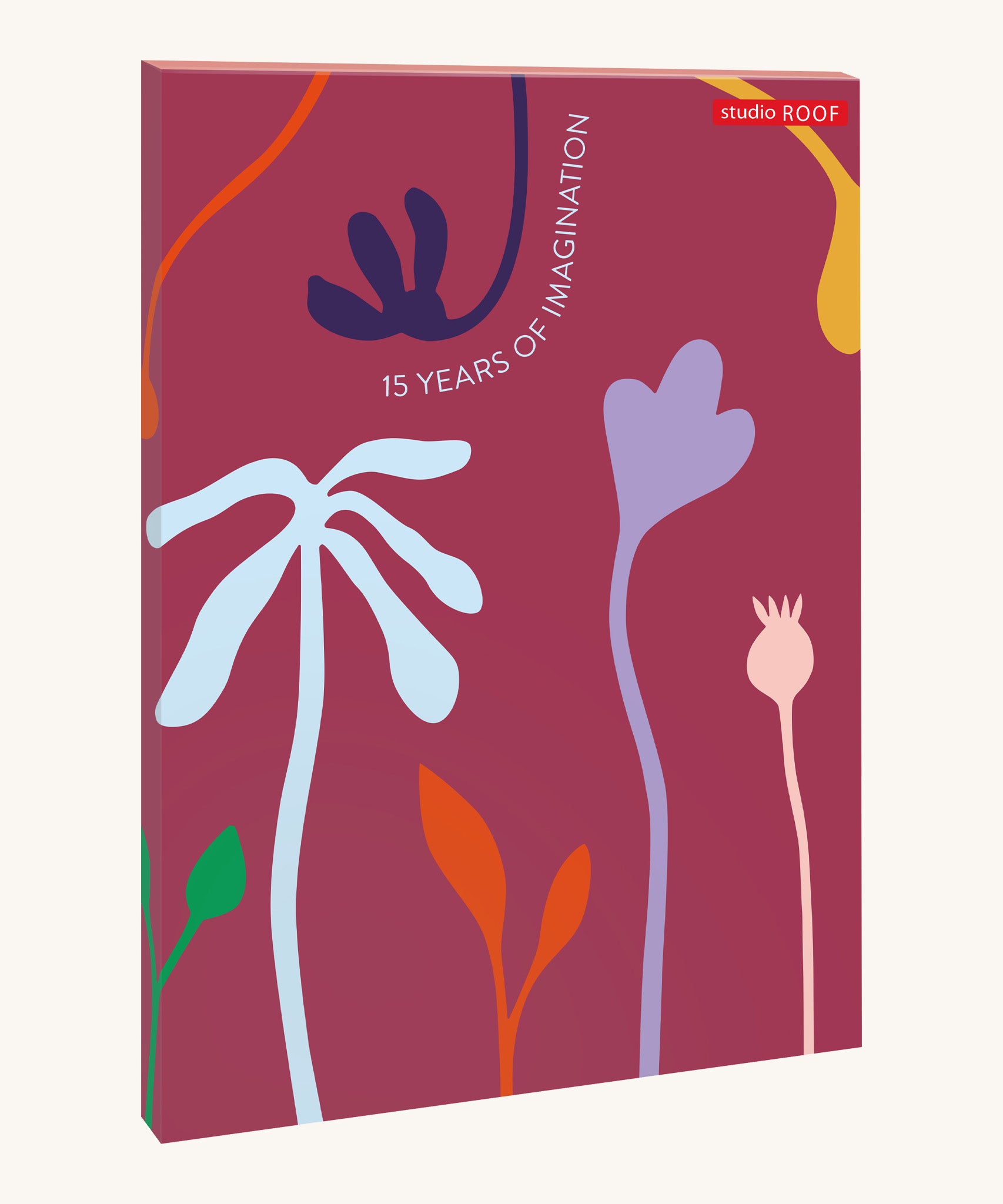 The pastel coloured cardboard packaging presenting the Studio Roof cardboard bouquet giant set available at Babipur.