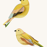 Studio Roof citrinella pair wall decorations available at Babipur. Features a thick cardboard DIY kit of a pair of citrinella birds to hang on a wall