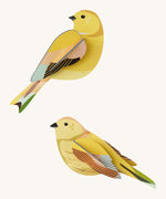 Studio Roof citrinella pair wall decorations available at Babipur. Features a thick cardboard DIY kit of a pair of citrinella birds to hang on a wall