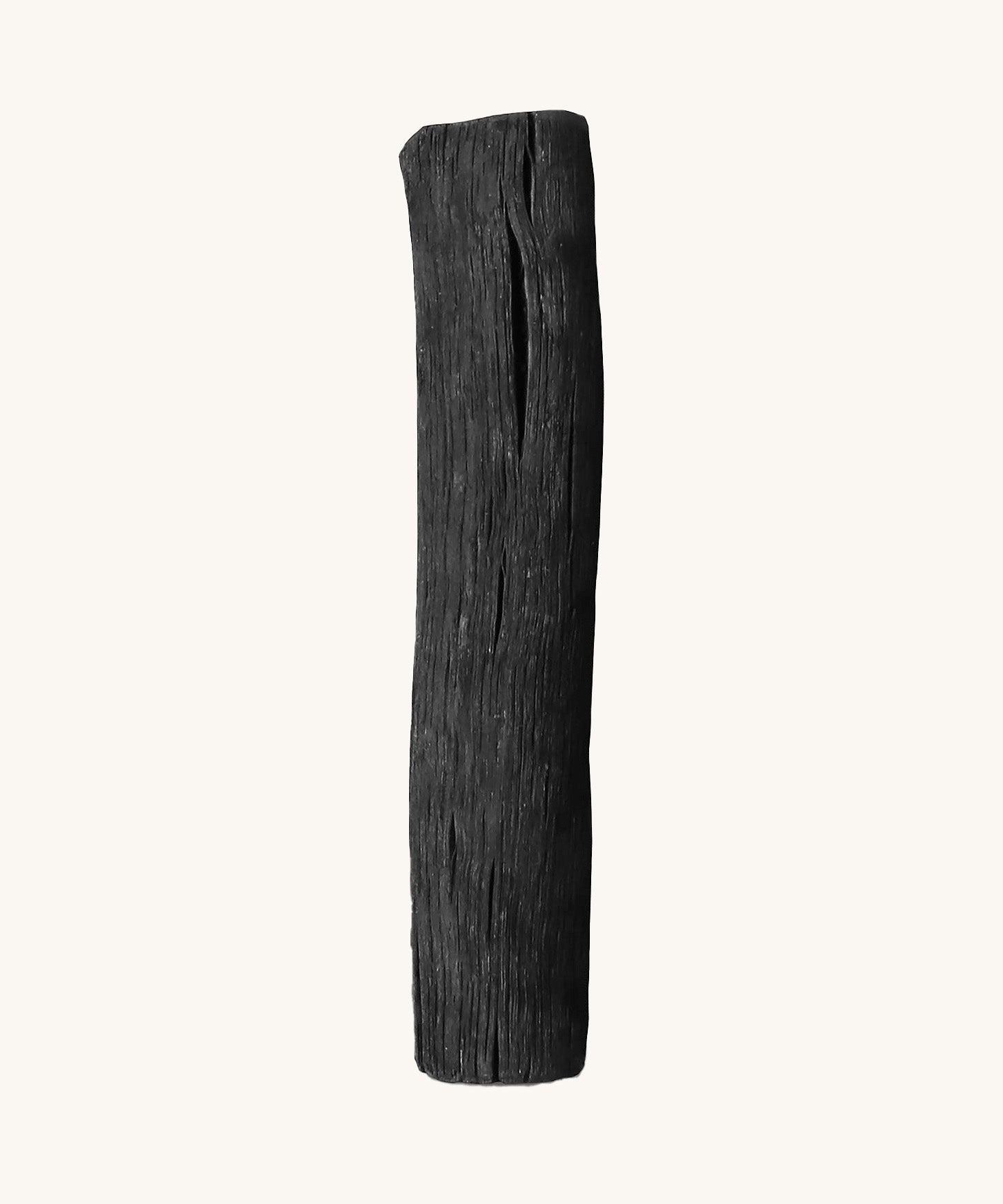 A close up of a active Black + Blum charcoal filter  showing the filter detail