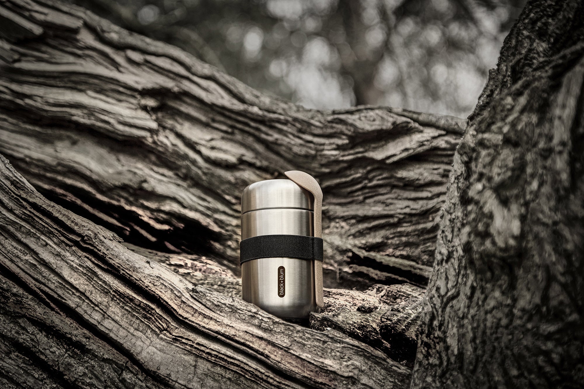 Black + Blum insulated stainless steel food flask with a black elastic strap and wooden spoon resting on a tree