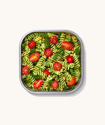 A close up of a Black + Blum square stainless steel leakproof microwave safe lunchbox showing a pasta dish inside the lunchbox