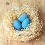 Bumbu Wooden Brontosaurus Eggs Set. Three speckled blue dinosaur eggs sat in a nest. They are displayed on a wooden table