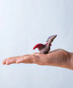 A Bumbu baby Pterandon in a child's hand.