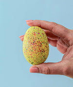 An adult holding one of the eggs from the Bumbu stegosaurus egg set.