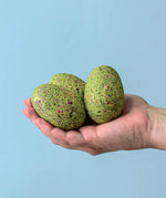 A close up of an adult holding the three bumbu t-rex eggs in their hand against a blue background.