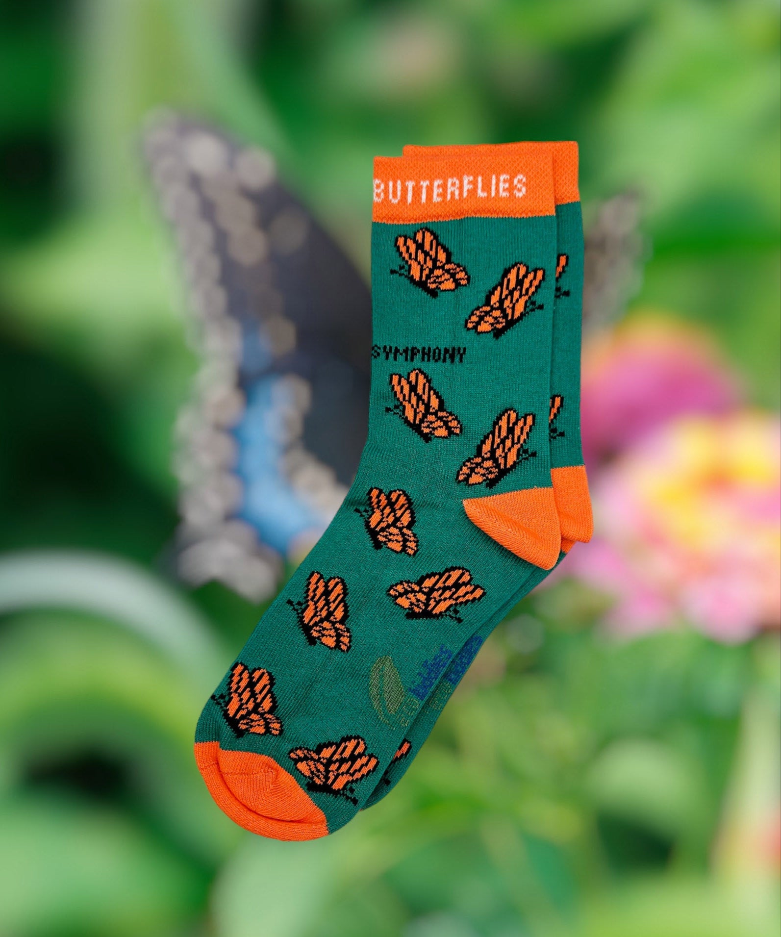 Eco kiddies organic cotton green butterfly sock on a background of a butterfly on a flower
