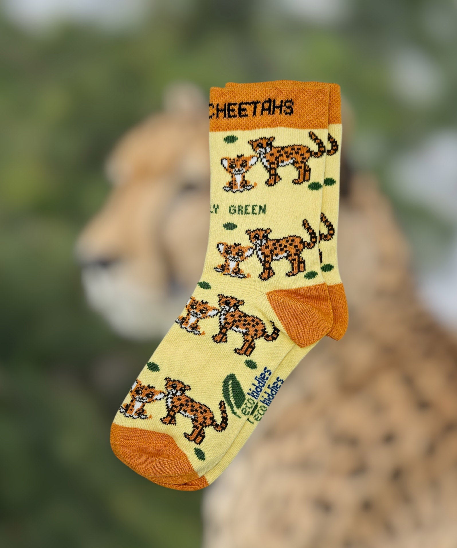 Eco kiddies organic cotton yellow cheetah socks on a background of a cheetah in a safari environment.