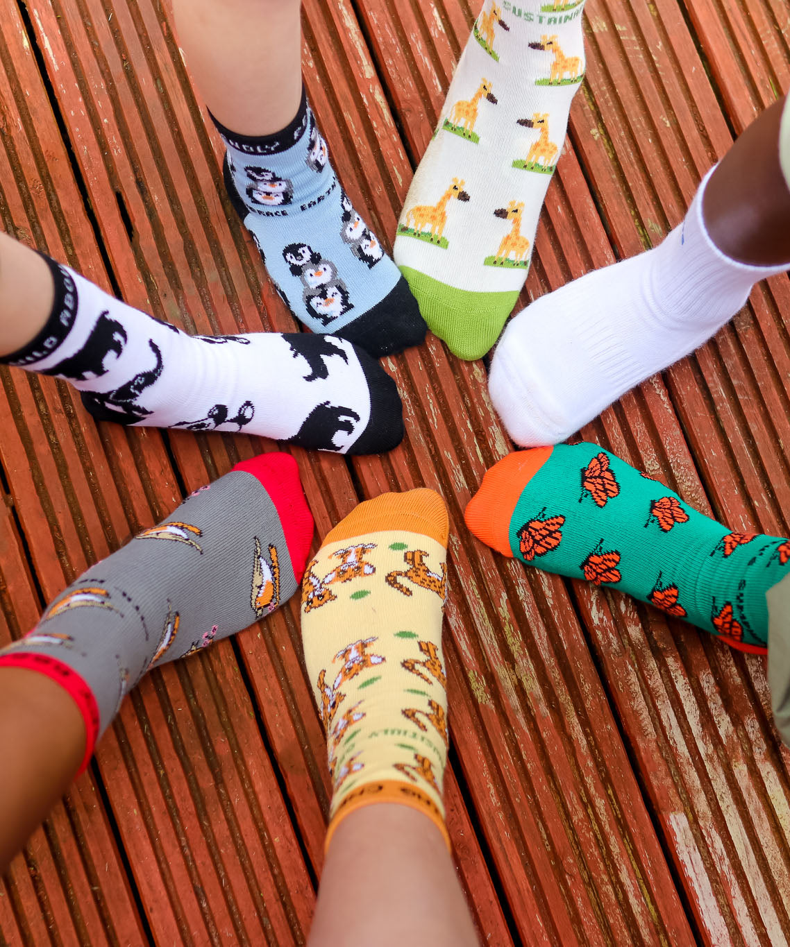 A group photo of kids wearing the different animal themed Eco Kiddies organic cotton socks