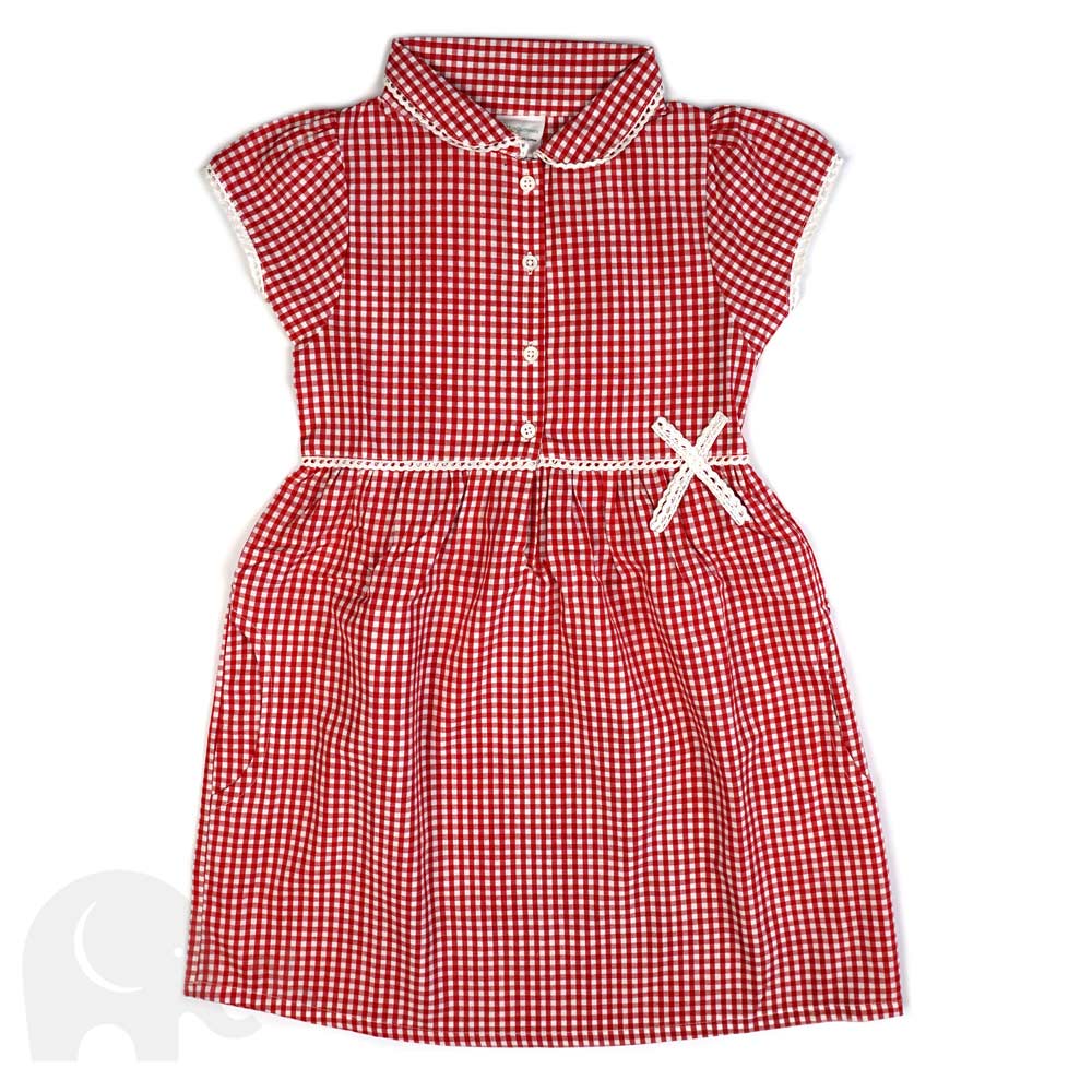 The Eco Outfitters organic and fair trade cotton school summer dress in red gingham.