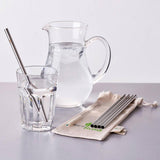Ecoliving Stainless Steel Straight Drinking Straw and Pouch - 5 Pack