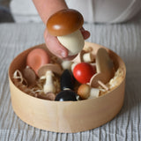 A white coloured mushroom with brown shading on the top from the Erzi Forest mushrooms in a box set held up in a child's hand. The box filled with the rest of the mushrooms can be seen placed on a table in the background.