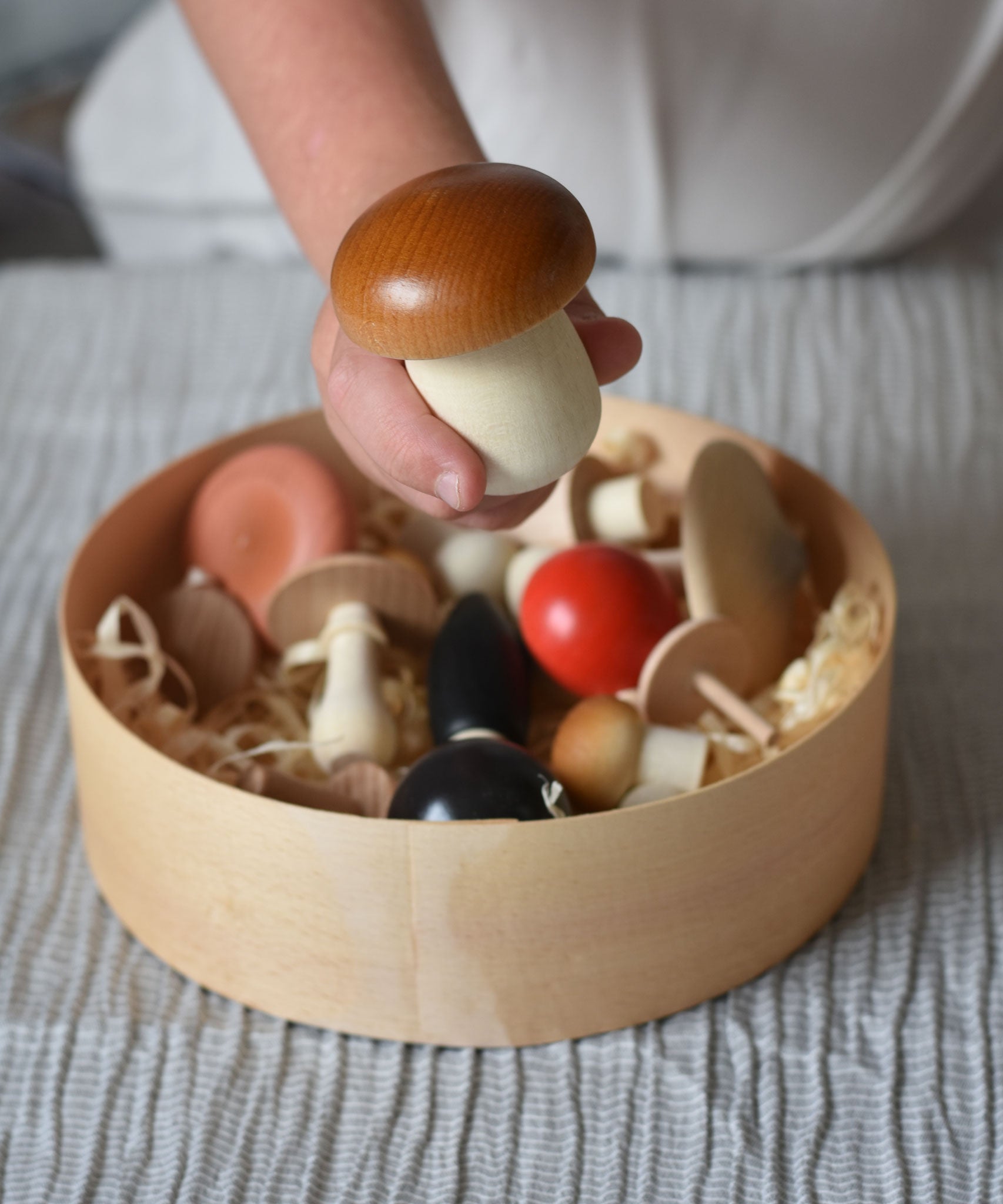 A white coloured mushroom with brown shading on the top from the Erzi Forest mushrooms in a box set held up in a child's hand. The box filled with the rest of the mushrooms can be seen placed on a table in the background.
