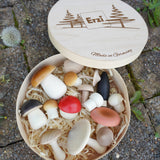 Erzi wooden painted forest toy mushrooms in a round wooden box.