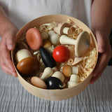 Erzi Wooden Forest Mushrooms in a Box
