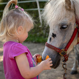 perfect for horse lovers! This set includes a curry comb with red rope handle