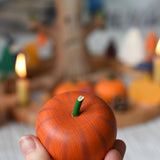An Erzi pumpkin shown in an adult's hand for scale.