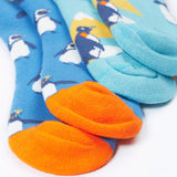 A close up of the Frugi 2 pack penguin brilliant boot socks showing the orange toe detail on organic cotton fabric