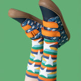 A child wearing the Frugi Penguin Print Tide Low Top velcro closure leather children's shoes with Frugi rainbow striped star socks.