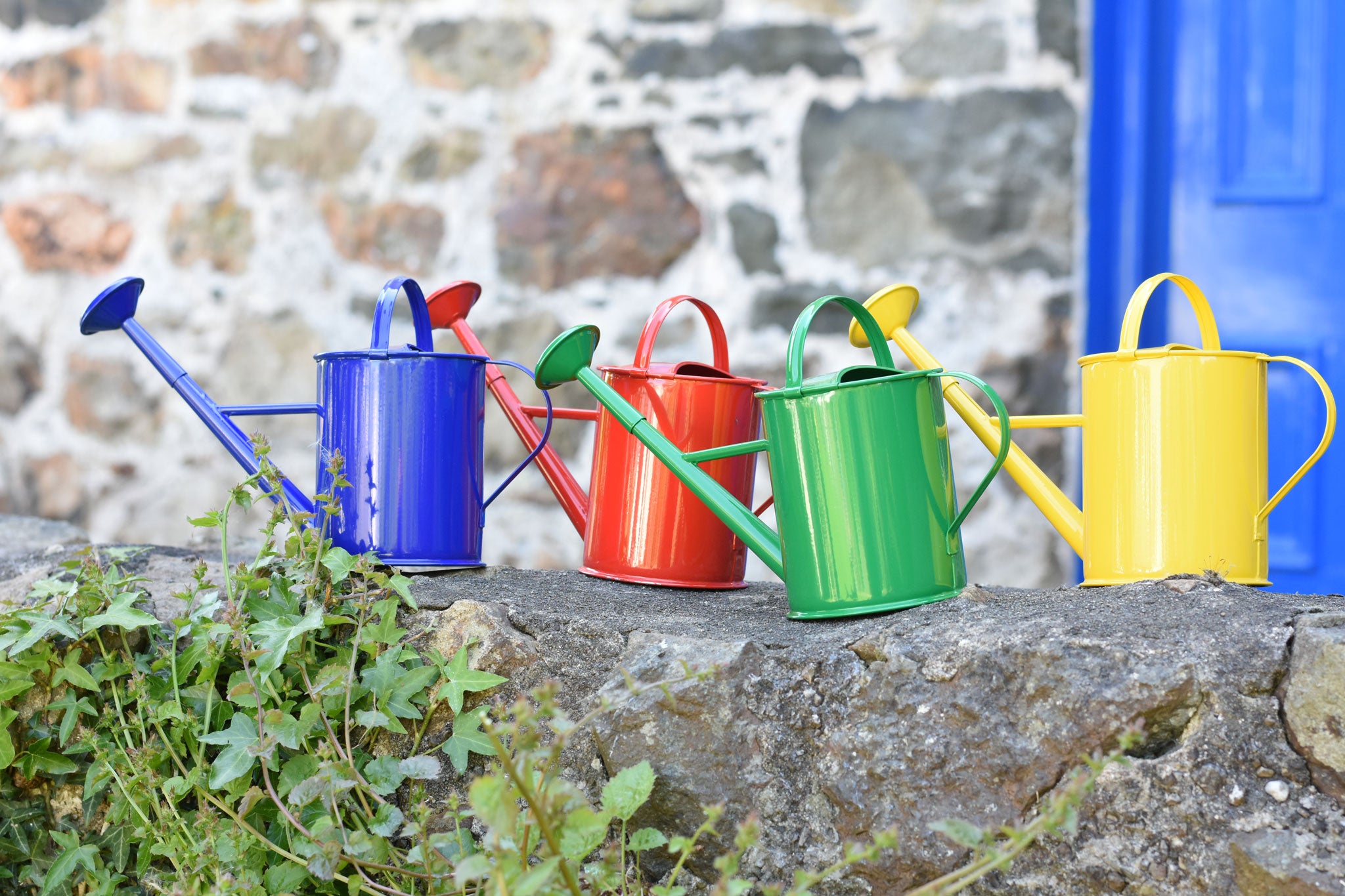 A group of 4 Glückskäfer 1L Metal Watering Cans all lined up on a stone wall outdoors. They are blue, red, green and yellow.