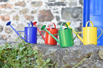 A group of 4 Glückskäfer 1L Metal Watering Cans all lined up on a stone wall outdoors. They are blue, red, green and yellow.