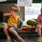 Close up of some Grapat plastic-free mandala pumpkin toys on a metal grate next to an orange vegetable