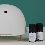 Maël Diffuser, a light grey dome plug-in essential oil diffuser with wooden feet, with two blue bottles of essential oils.