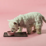 Hevea Dog Bowl On The Go - Old Rose