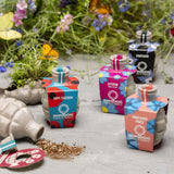 Kabloom Birds, Bees & Butterflies Gift Box