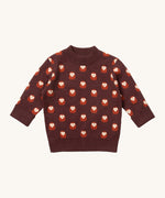 Little Green Radicals brown owl knitted jumper available at Babipur. A GOTS organic cotton soft knit jumper in brown with cute owls. Features a thicker collar and cuffs for warmth.