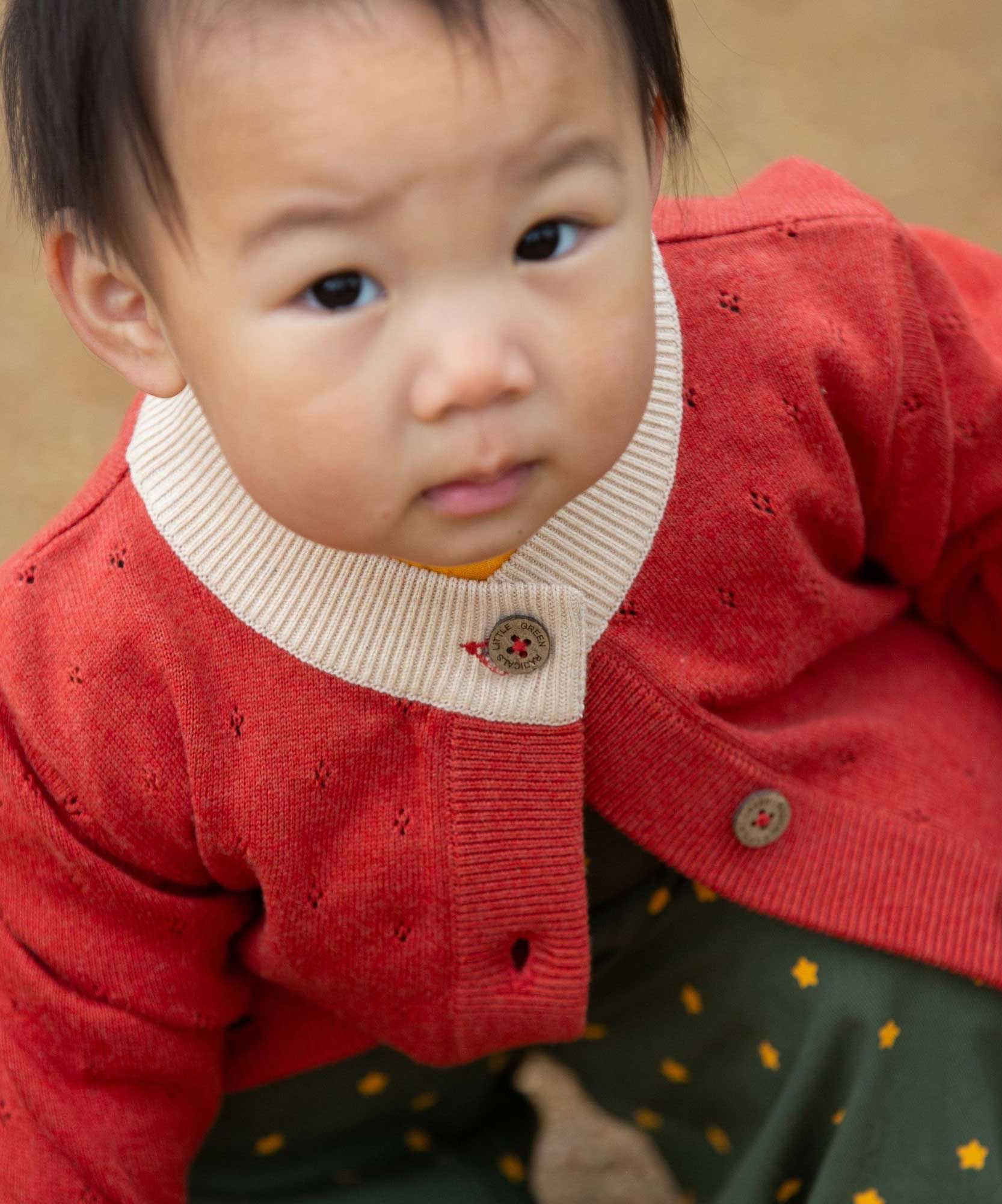A young child wearing a Little Green Radicals From One To Another Burnt Ochre Pointelle Knitted Cardigan with green coloured shorts. Little green Radicals have a wide range of organic cotton, Fairtrade children's clothing and outerwear available here at Babipur.