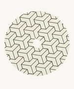 The DIY '3D' design cardboard panel to go on the Mader wooden spinning top.