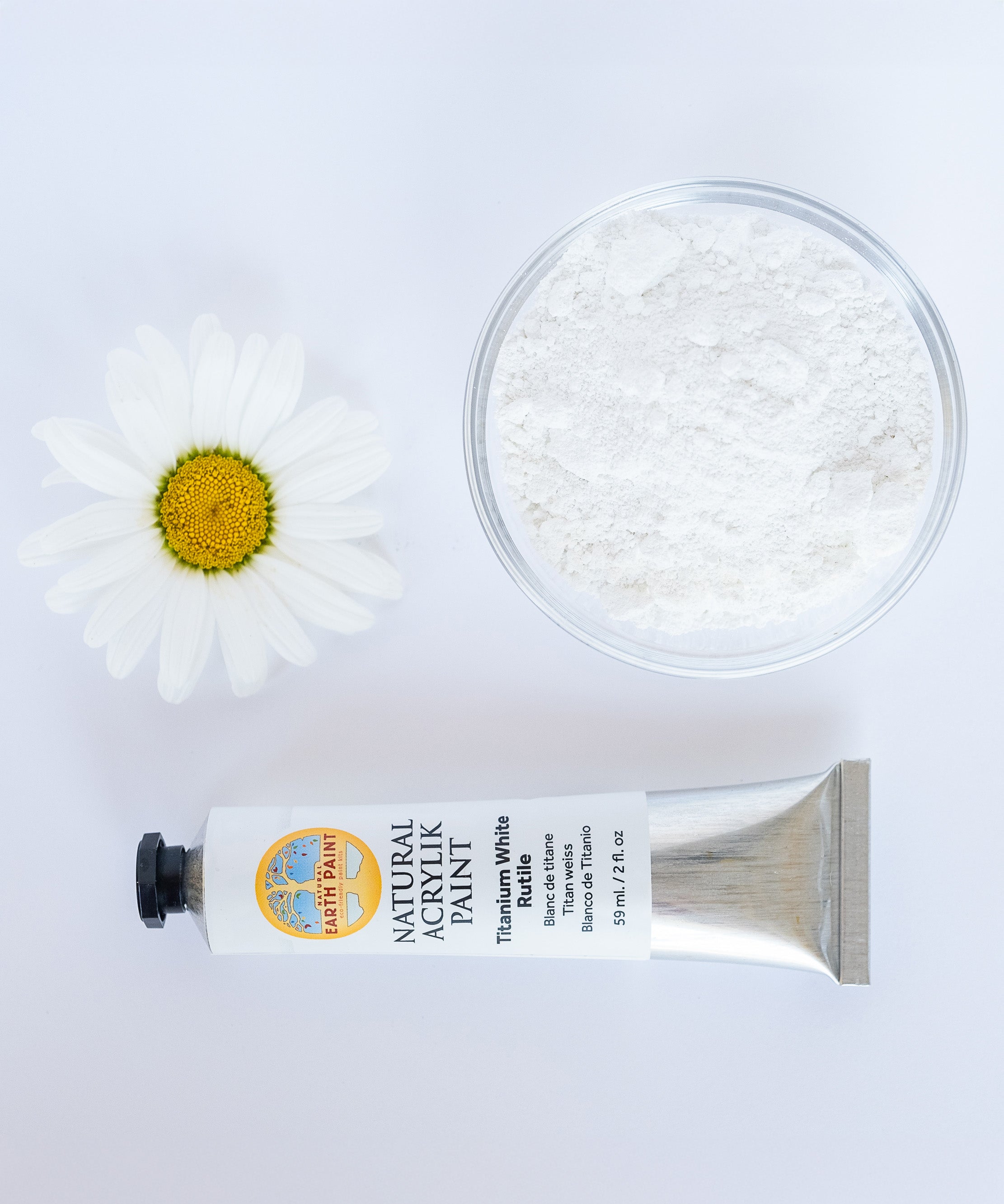 A top down view of the Natural earth paint in titanium white next to the white pigment powder and a white daisy flower