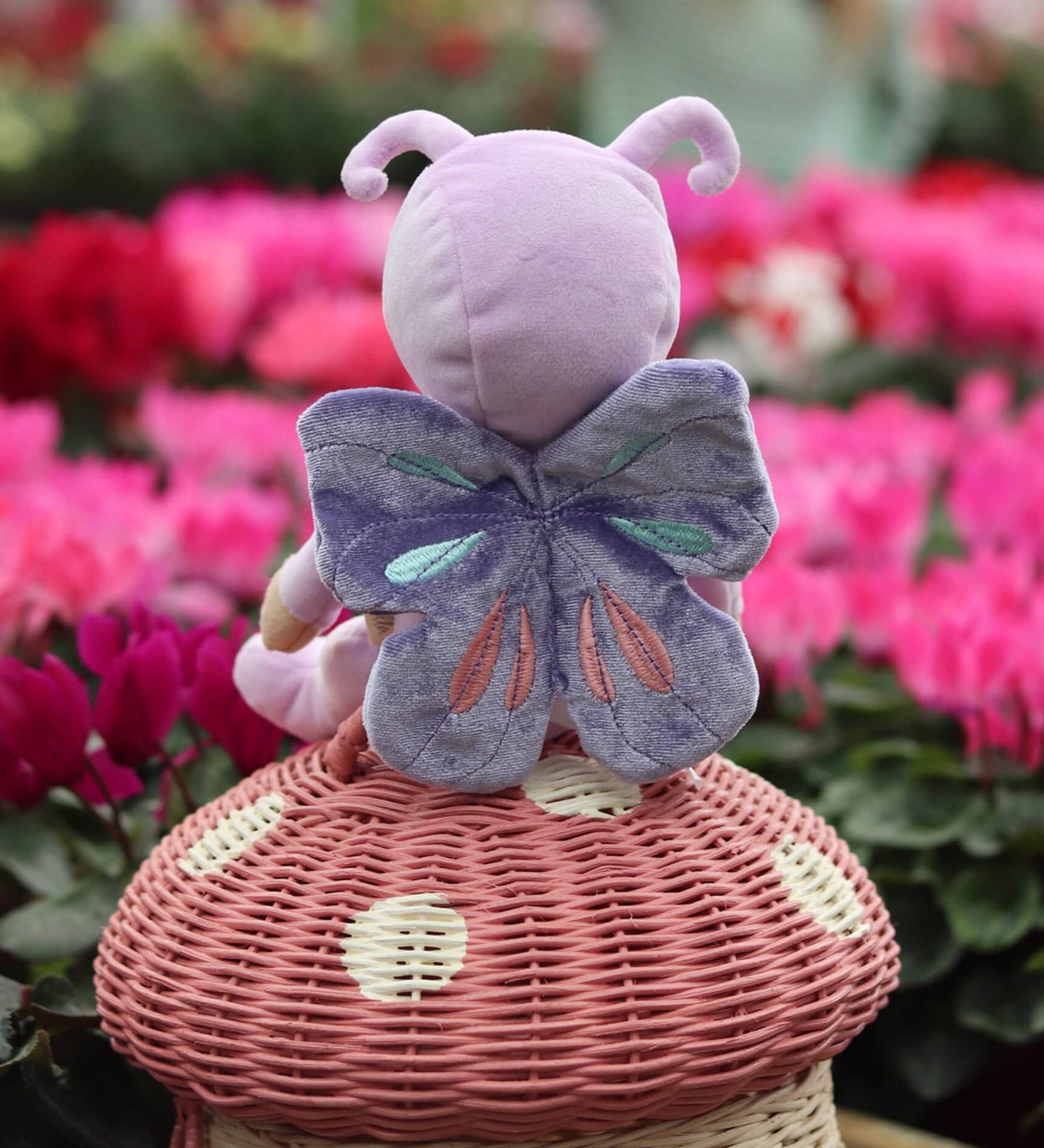 The Olli Ella Dinky Dinkum Doll - Betty Butterfly - in a light purple onesie, with brown hair, blue eyes, dark purple butterfly wings, and antennae. It is sat on a rattan toadstool basket in a flower garden.