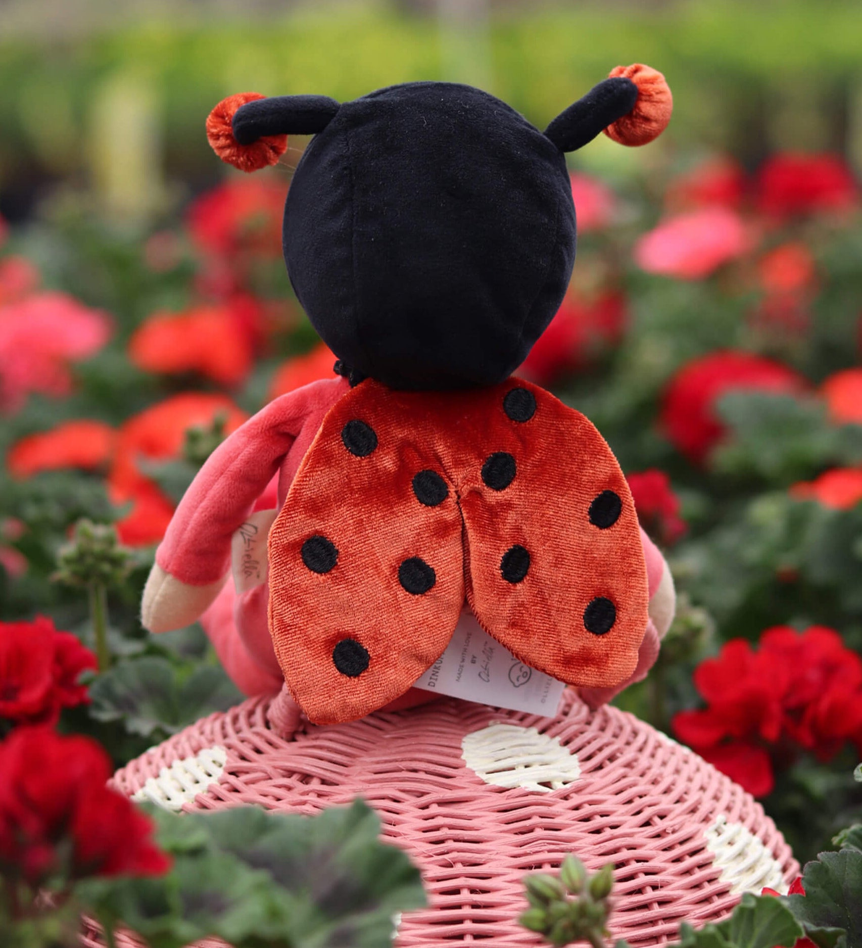 The back of the Olli Ella Dinky Dinkum Doll - Lola Ladybug - in a red onesie with ladybird wings, sat on a rattan toadstool basket in a flower garden.