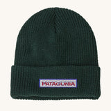 Patagonia Kids Logo Beanie in a Conifer Green colour on a plain background.